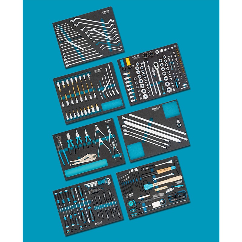 Hazet 0-2500-163/242 Standard Tool Assortment for VW AUDI, 242 Pieces