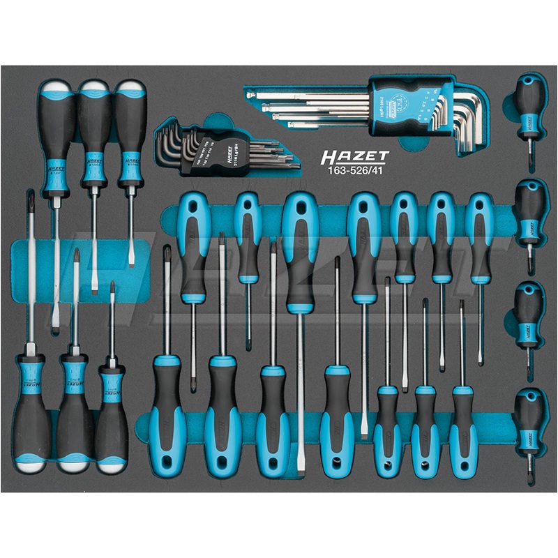 Hazet 163-526/41 Screwdriver Set, 41 Pieces