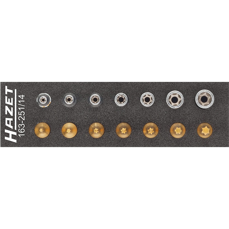Hazet 163-251/14 TORX Tool Set, 14 Pieces