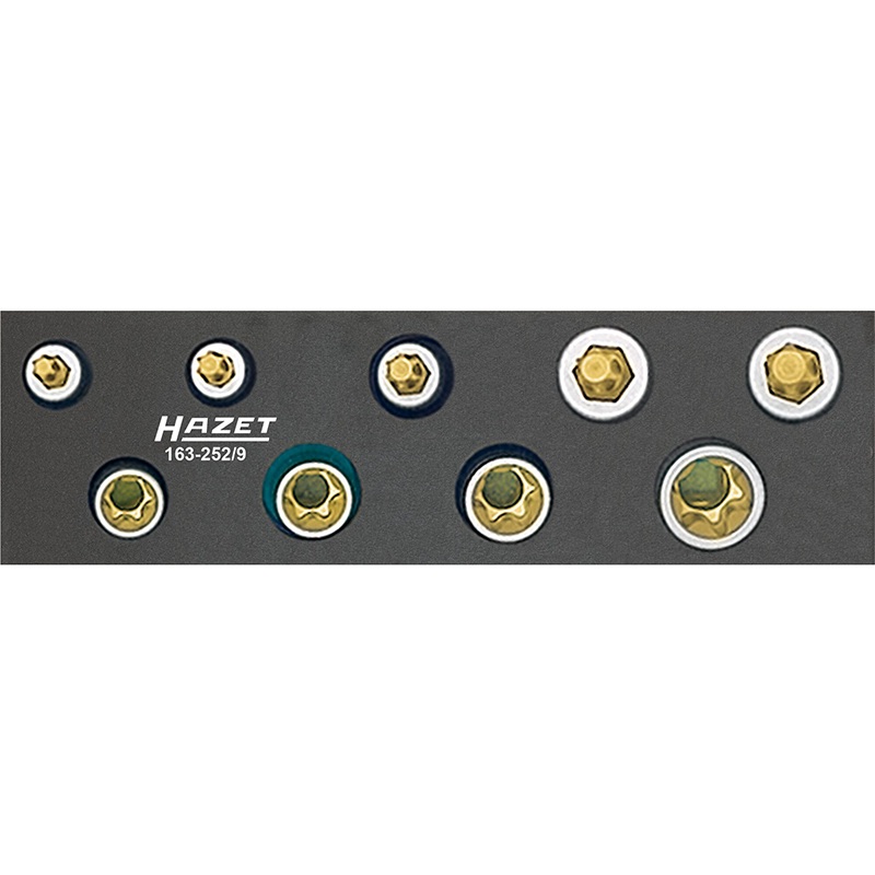 Hazet 163-252/9 TORX Tool Set, 3/8" Drive, 9 Pieces