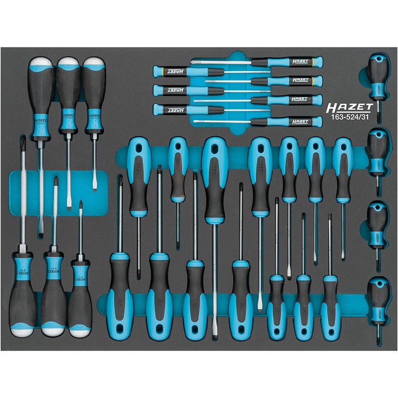 Hazet 163-524/31 Screwdriver Set, 31 Pieces