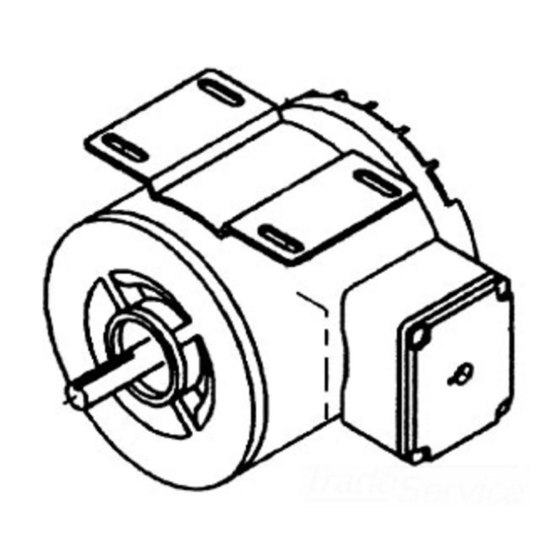 Ridgid 50567 Replacement Motor for K-1500A Sectional Machine (220v/240V, 50/60Hz)