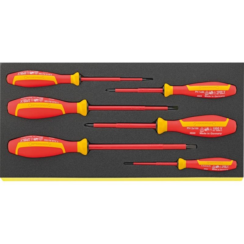 Stahlwille 96838766 TCS 4660/4665 DRALL+ set of screwdrivers 6 pcs