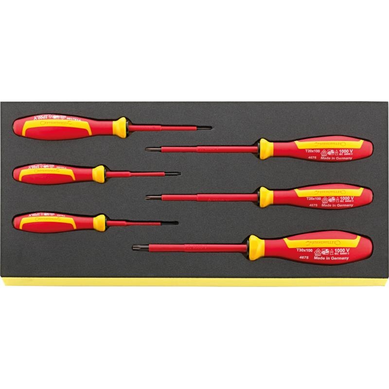 Stahlwille 96838793 TCS 4675 DRALL+ set of screwdrivers 6 pcs