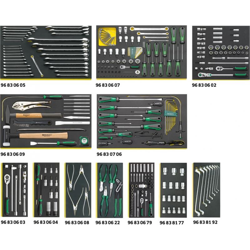 Stahlwille 97830600 2500 TCS Workshop set for BMW vehicles